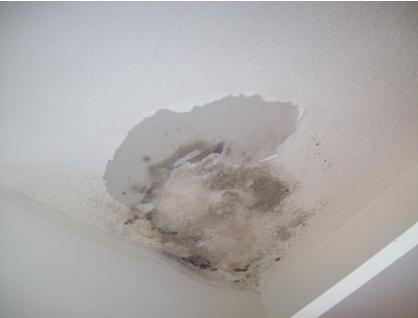 Moisture Stain at the Ceiling